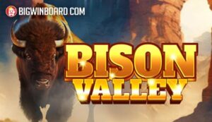 bison valley slot